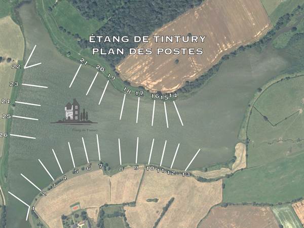 @carpe @pêche @étang @nièvre @tintury @session-photo-gallery