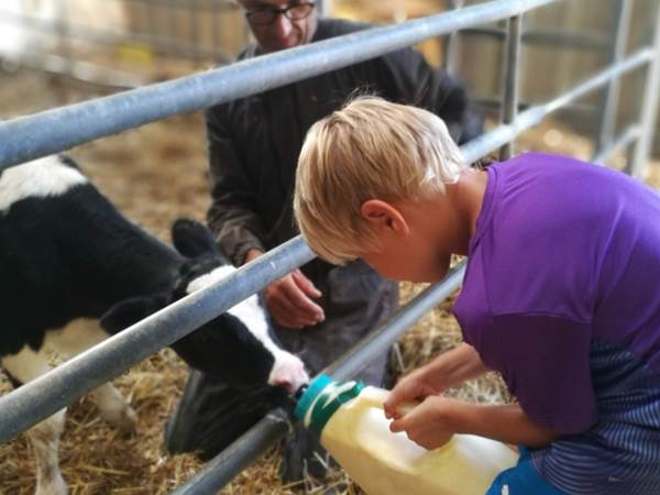 Participez aux activités de la ferme-galerie