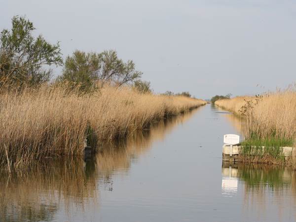 Paysage camarguais fluvio lacustre avec ses canaux et étangs