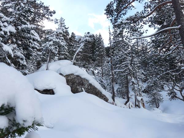 Ambiance hivernale en montagne