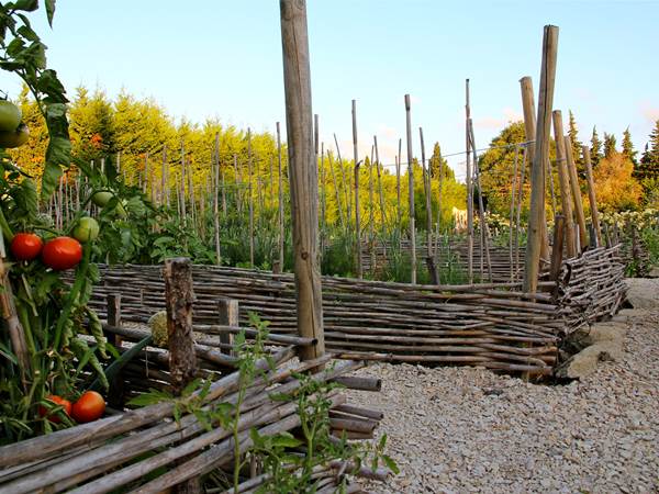 Potager 2