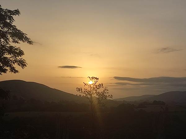 IMG_20230810_072525