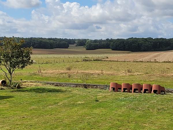Vue imprenable sur la forêt 