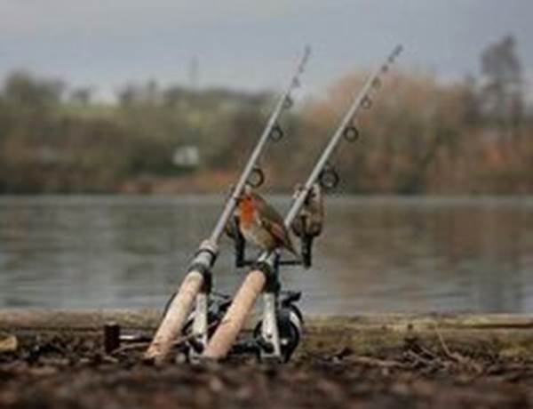 c5f294108aa7cbac1276f929a789140b