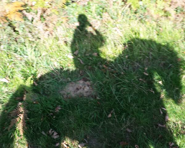 20141101_121426