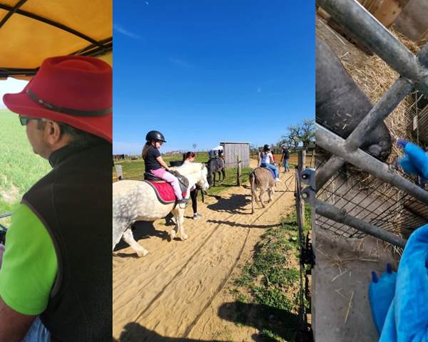 Untitled design