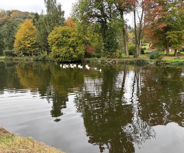 La Sambre près de Hourpes en automne