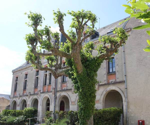Aube ouest