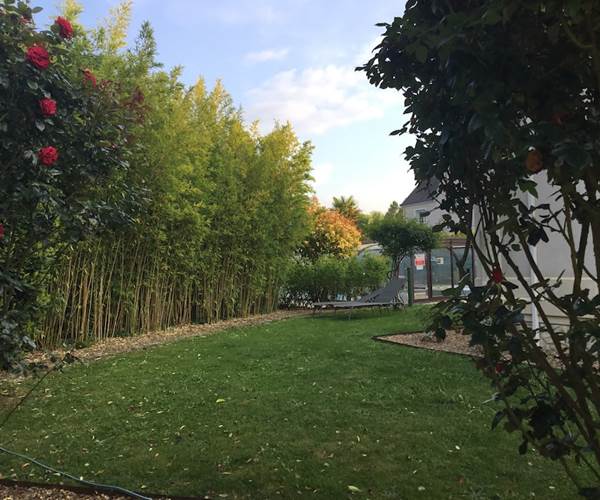 Jardin côté Est