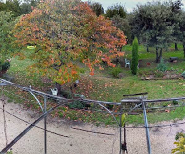 Vue de la chambre Amado