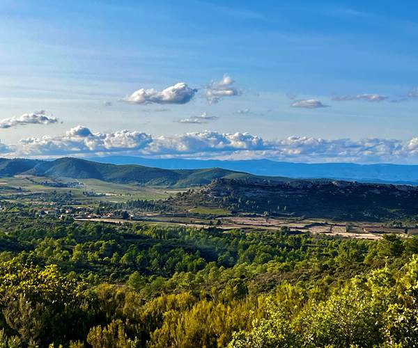 corbieres montséret aude occitanie