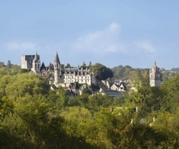 Loches forteresse royale à 4 km