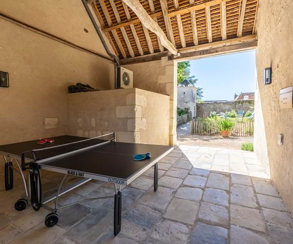 Table de pingpong