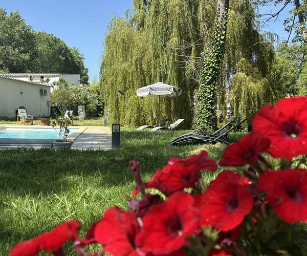 PISCINE EXT - GITES TERRA DI A BRAVONA