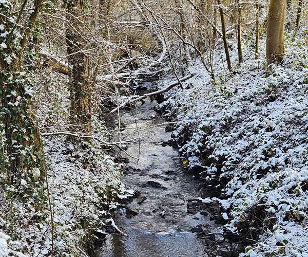 Ruisseau près de Hourpes