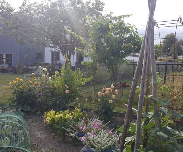 potager