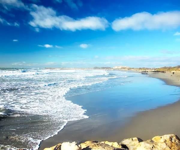 coastline-saintes-maries-de-la-mer-camargue-france-shot-was-taken-last-december-beach-department-bouches-du-118052871