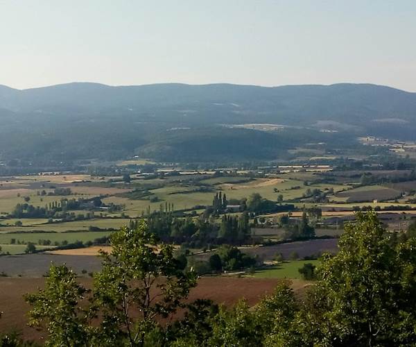 Sault en Provence Vaucluse