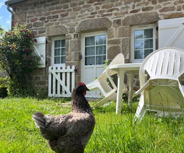 Terrasse gîte 4 places - Gîtes Vassivière le Fer A Cheval