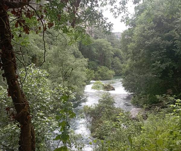 la Fontaine de vaucluse