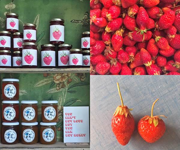 nos produits bio et fait maison