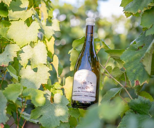 Packshot-Bouteilles-5