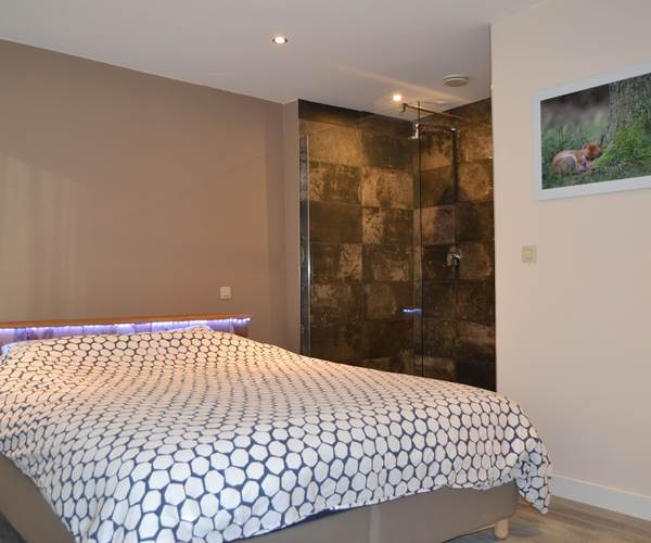 chambre 1 douche