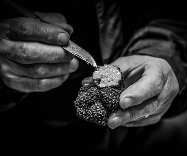 Le diamant du Périgord Noir -  La truffe noire - Tuber Melanosporum - Château de Puy Robert Lascaux