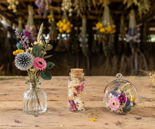 Ateliers créatifs fleurs séchées Terralya