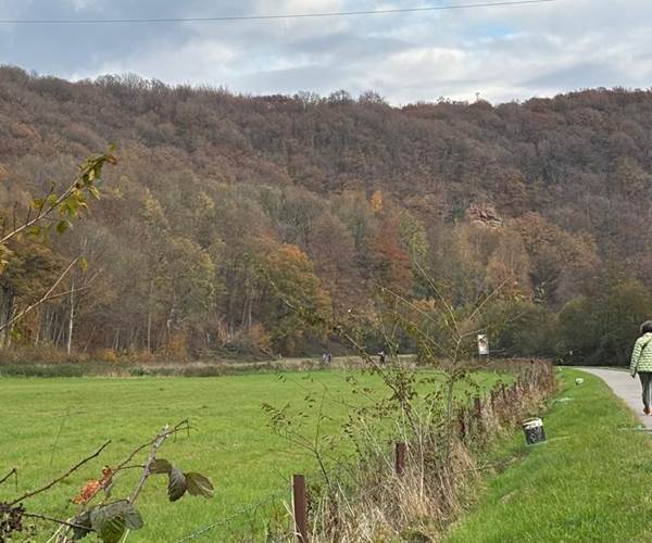 Balade en bord de Sambre