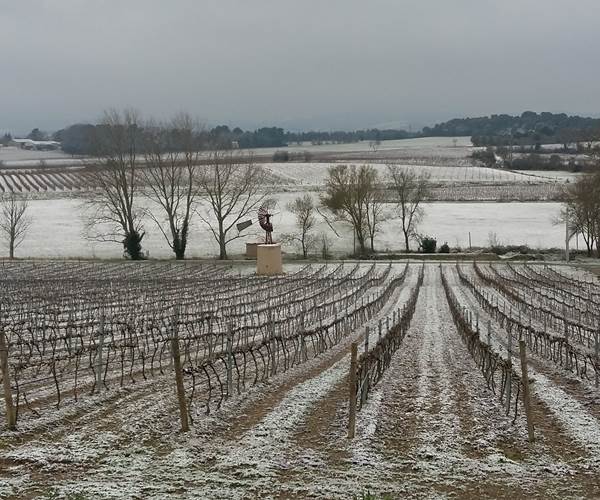 Episode neigeux