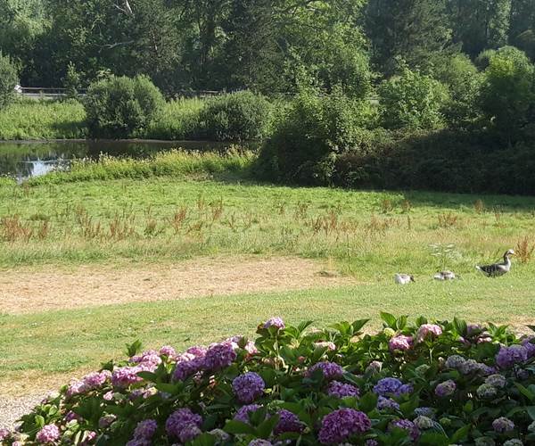 Parc du château de la Caloterie