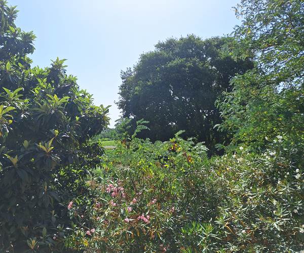 La vue des fenêtres de la chambre du haut