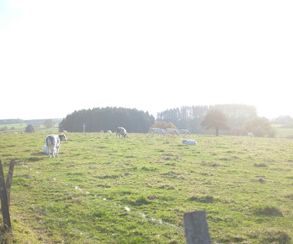 Balade dans le village