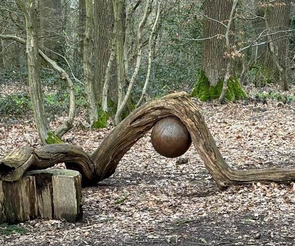 Parcours artistique dans les bois