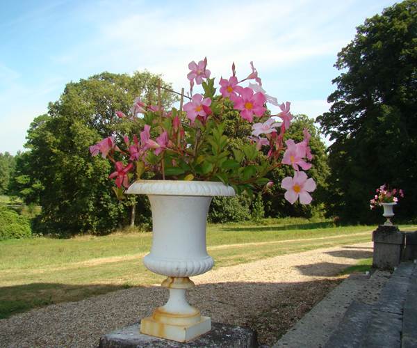 Parc et château de la Caloterie