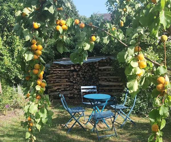 La Grange de Bonneville - le jardin