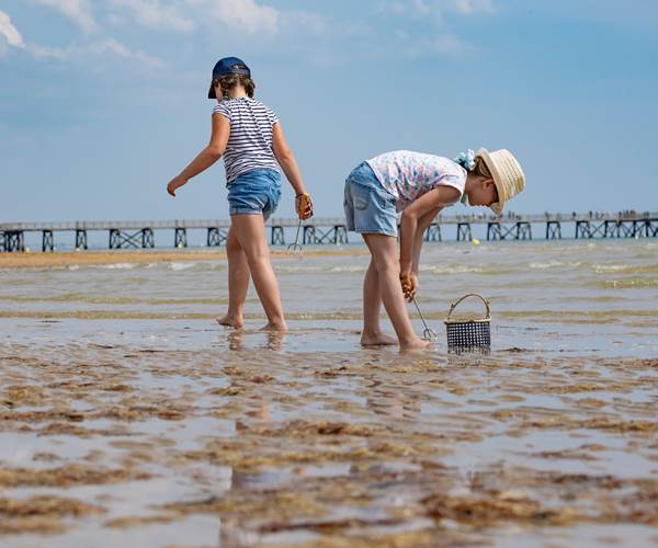 pêche aux pignons estacade st jean de monts