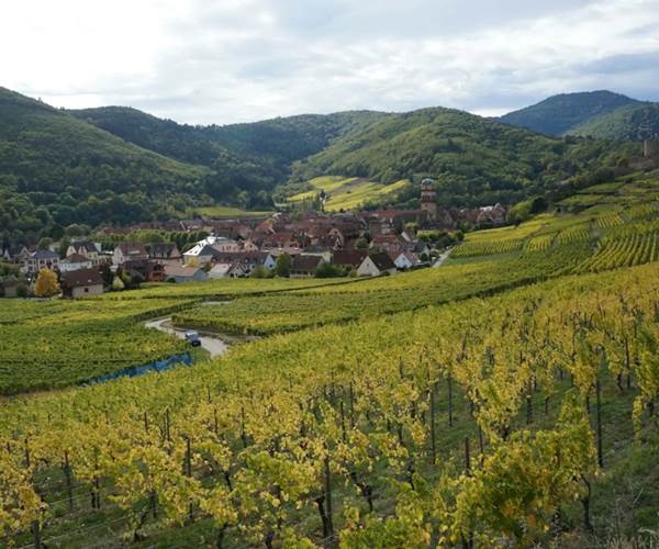 vin alsace les ambrades