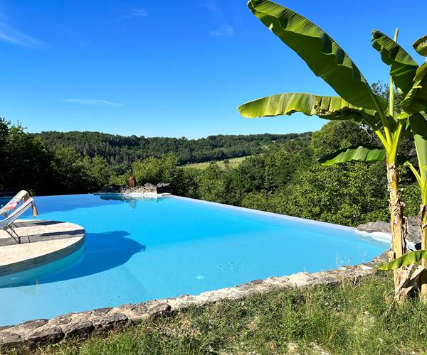 Piscine vue du bananier