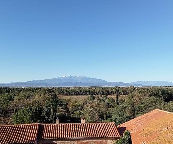 Le Mas Palegry chambres d'hôtes Perpignan - Vue imprenable sur le Canigou