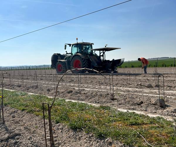 Plantation Pinot Noir APRONIE