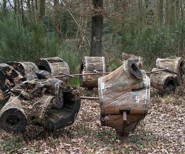 Exposition dans le bois du Grand Bon Dieu