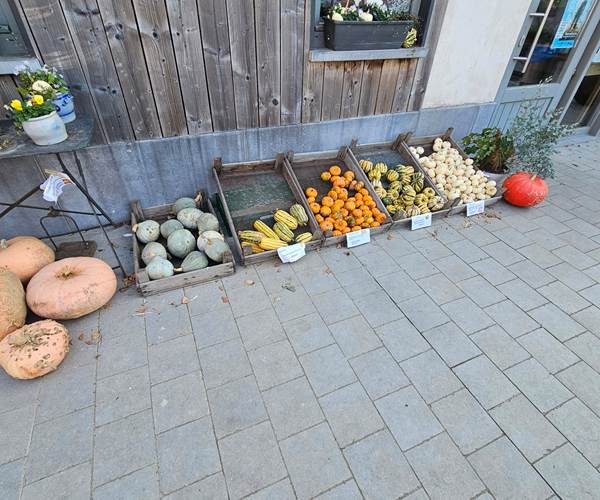 préparer Halloween à la Ferme du Maustichi