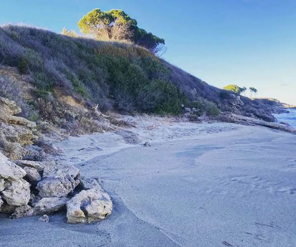 PLAGE BRAVONA