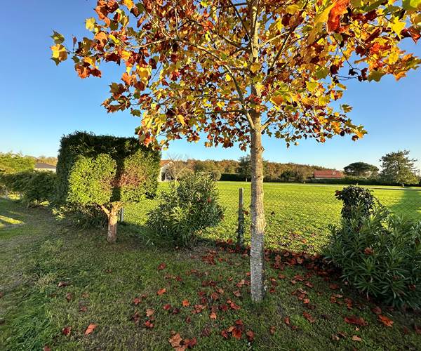 Couleurs d'automne