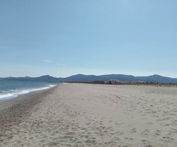 Le Mas Palegry chambres d'hôtes Perpignan à 15 minutes de la Lagune à Saint Cyprien