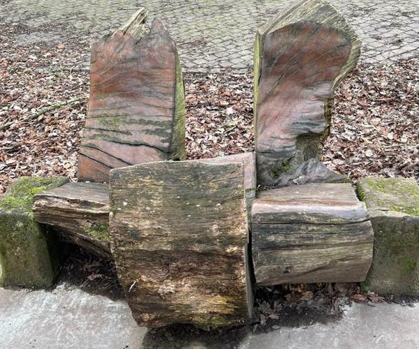 Art & nature à Thuin