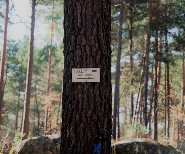 Les nombreuses randonnées tout autour