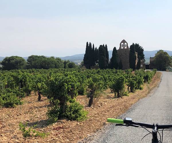 balade en VTT électrique dans les vignes